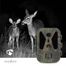 Nedis Observation Camera